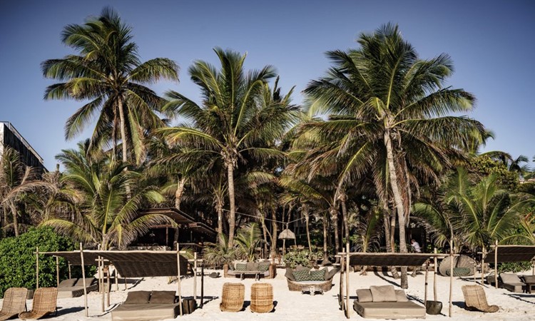 Modern five star resort with ocean view suites, palm trees and designer pool area